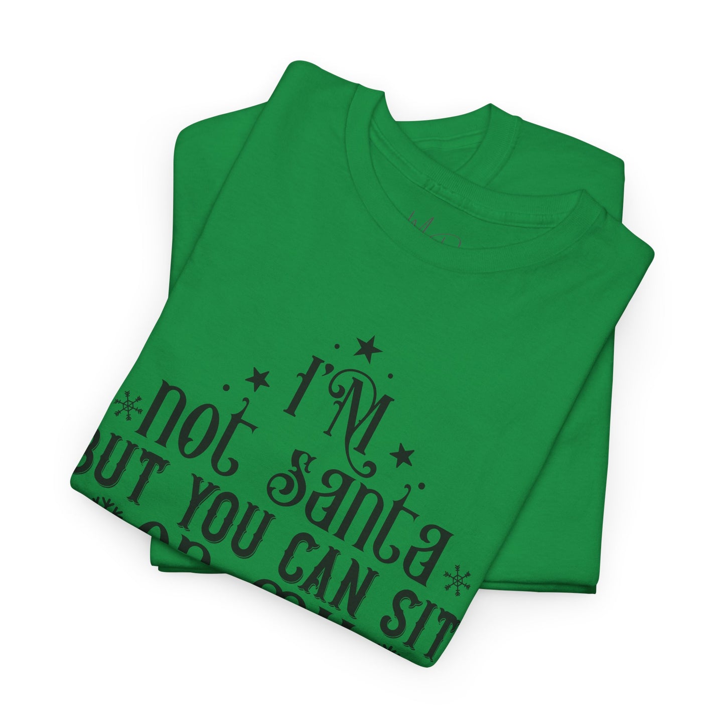 I’m Not Santa, But You Can Sit on My Lap | T-Shirt | Black Print