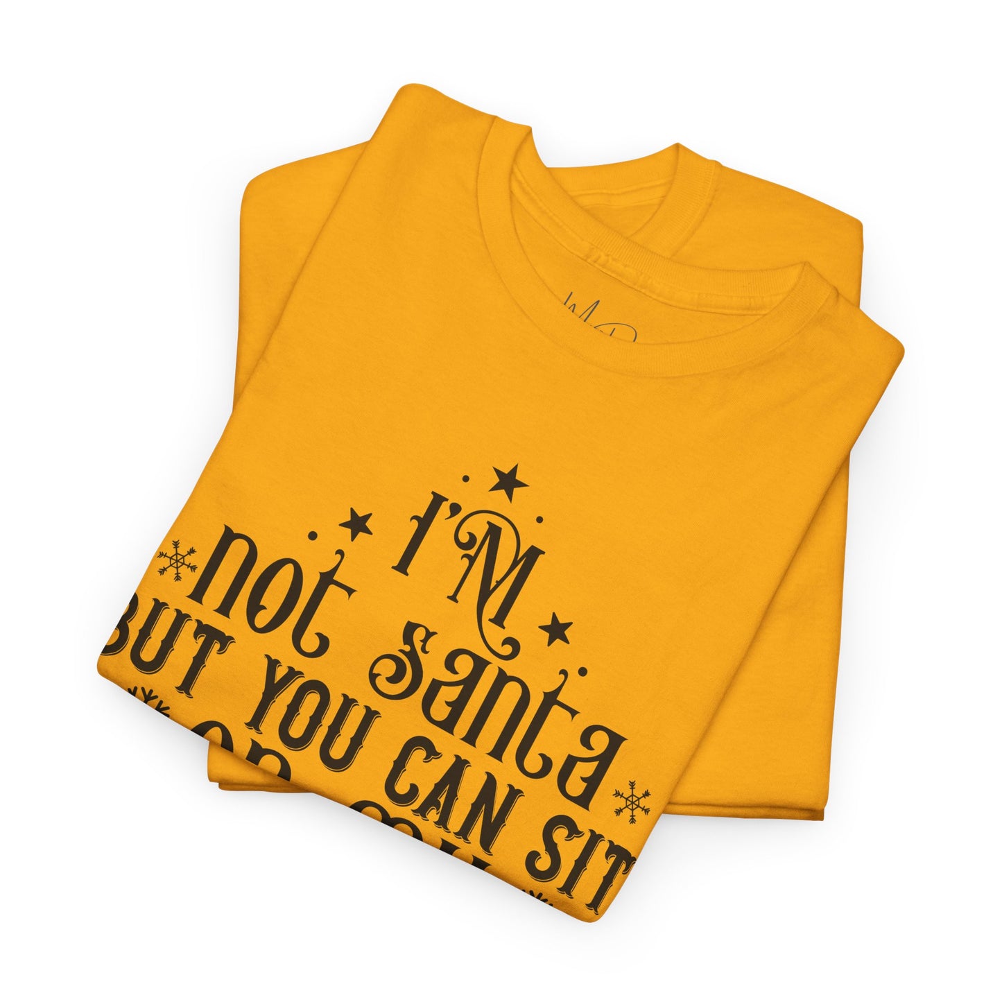 I’m Not Santa, But You Can Sit on My Lap | T-Shirt | Black Print