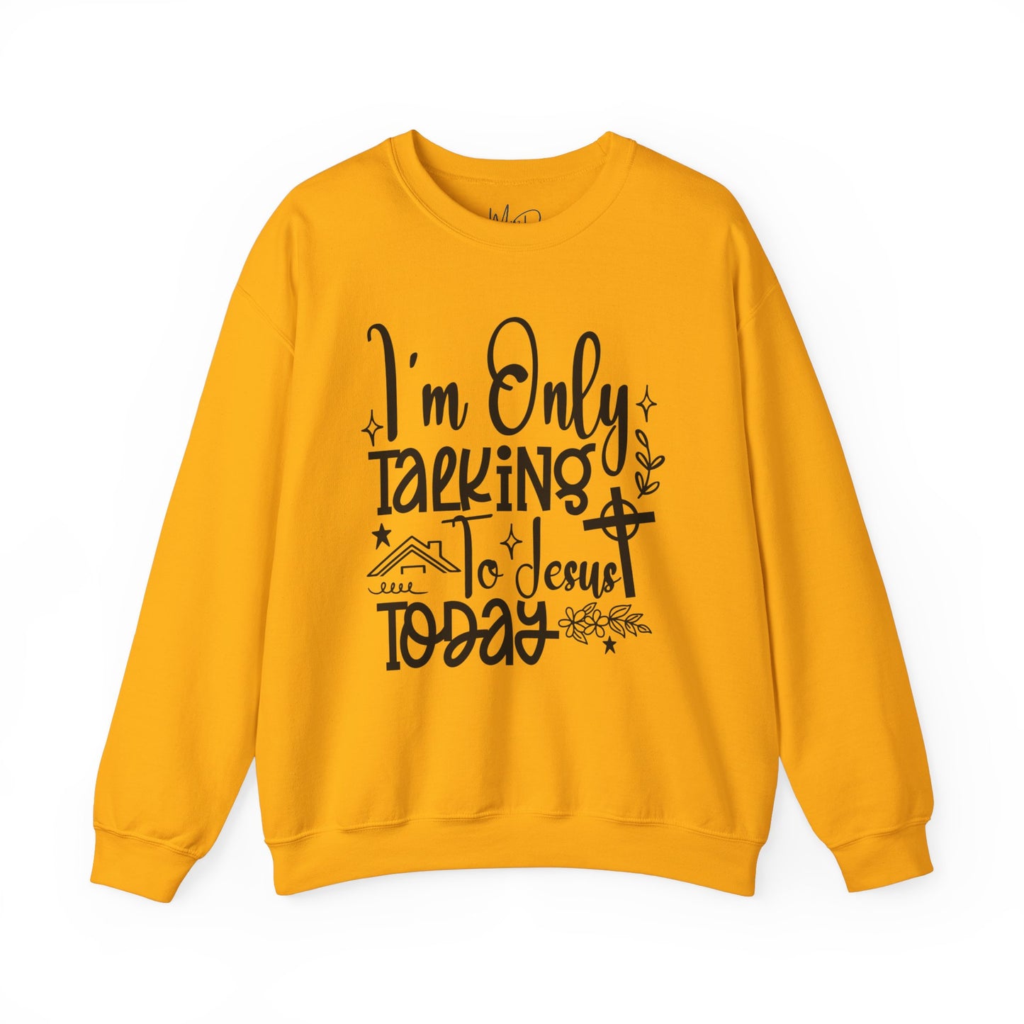 I Am Only Speaking To Jesus Today | Sweatshirt