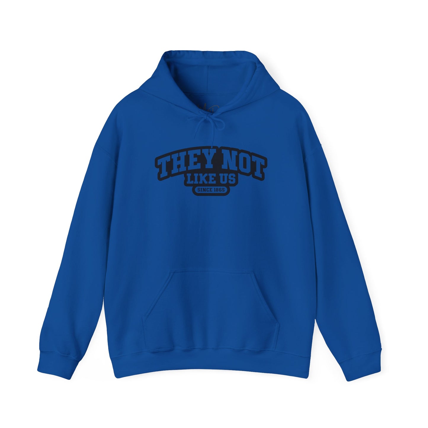 hey Not Like Us| Version 1| Black Font |Hooded Sweatshirt