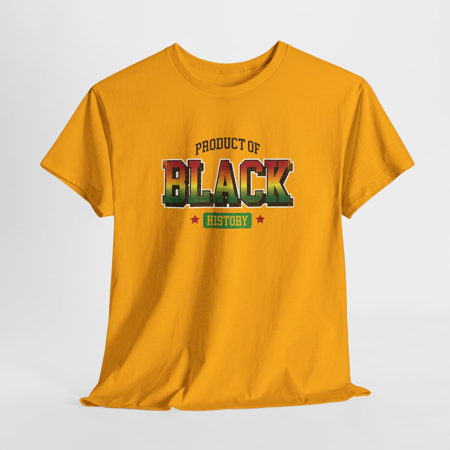 Product of Black History | T-Shirt (Version 5)
