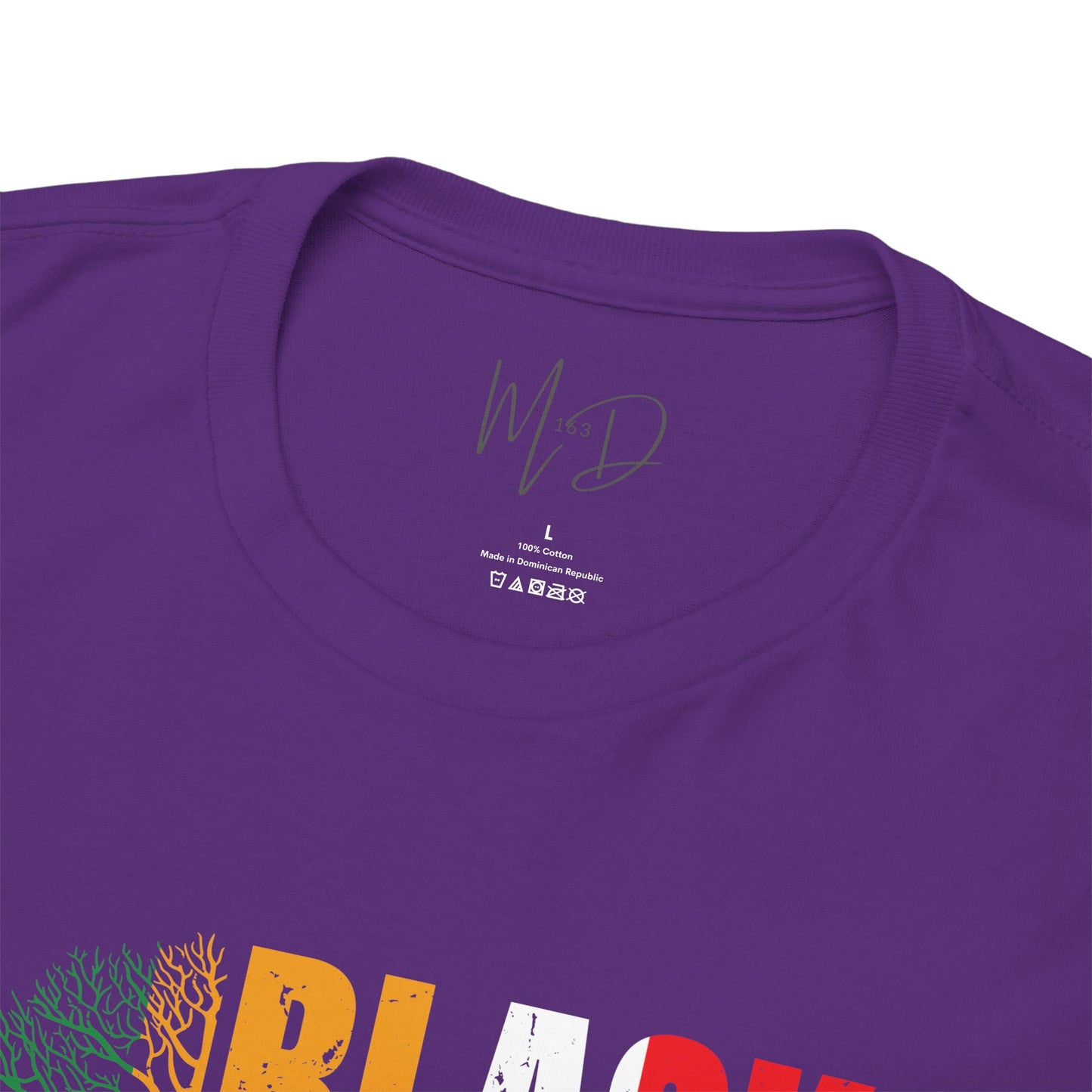 Black History Month | T-Shirt (Version 3)
