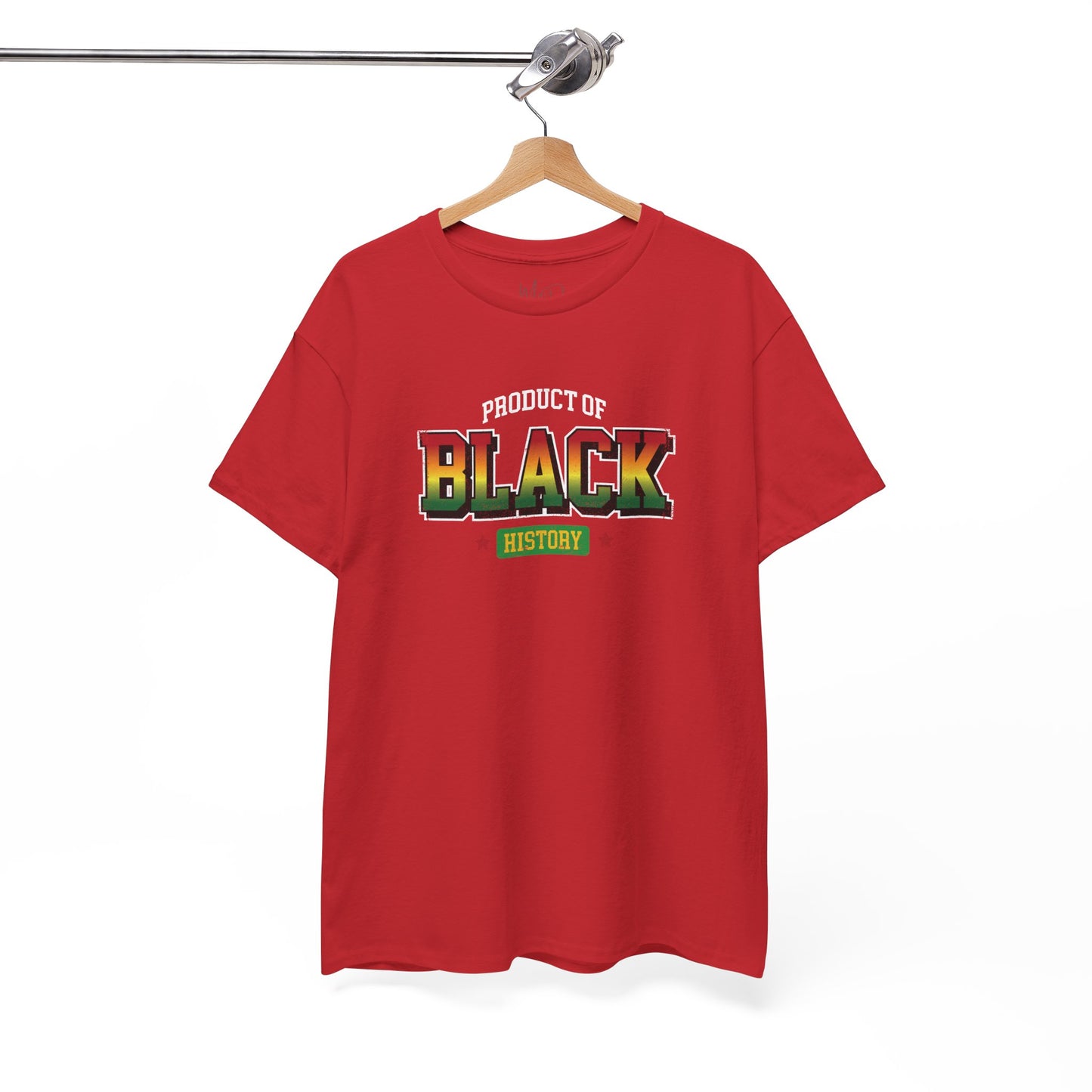 Product of Black History | T-Shirt (Version 4)