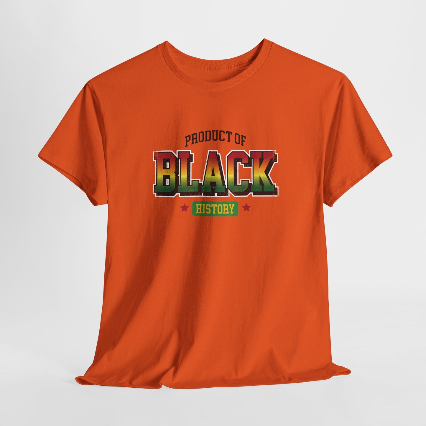 Product of Black History | T-Shirt (Version 5)