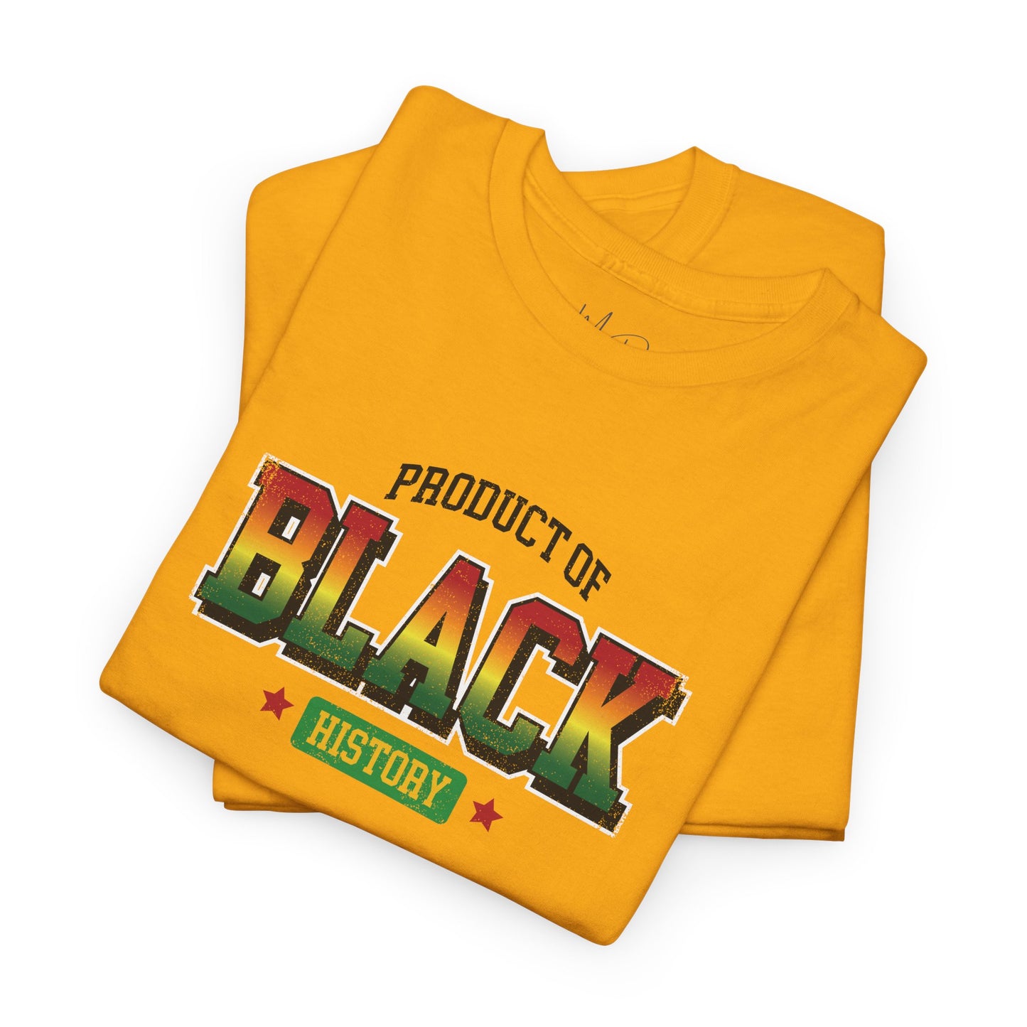 Product of Black History | T-Shirt (Version 5)