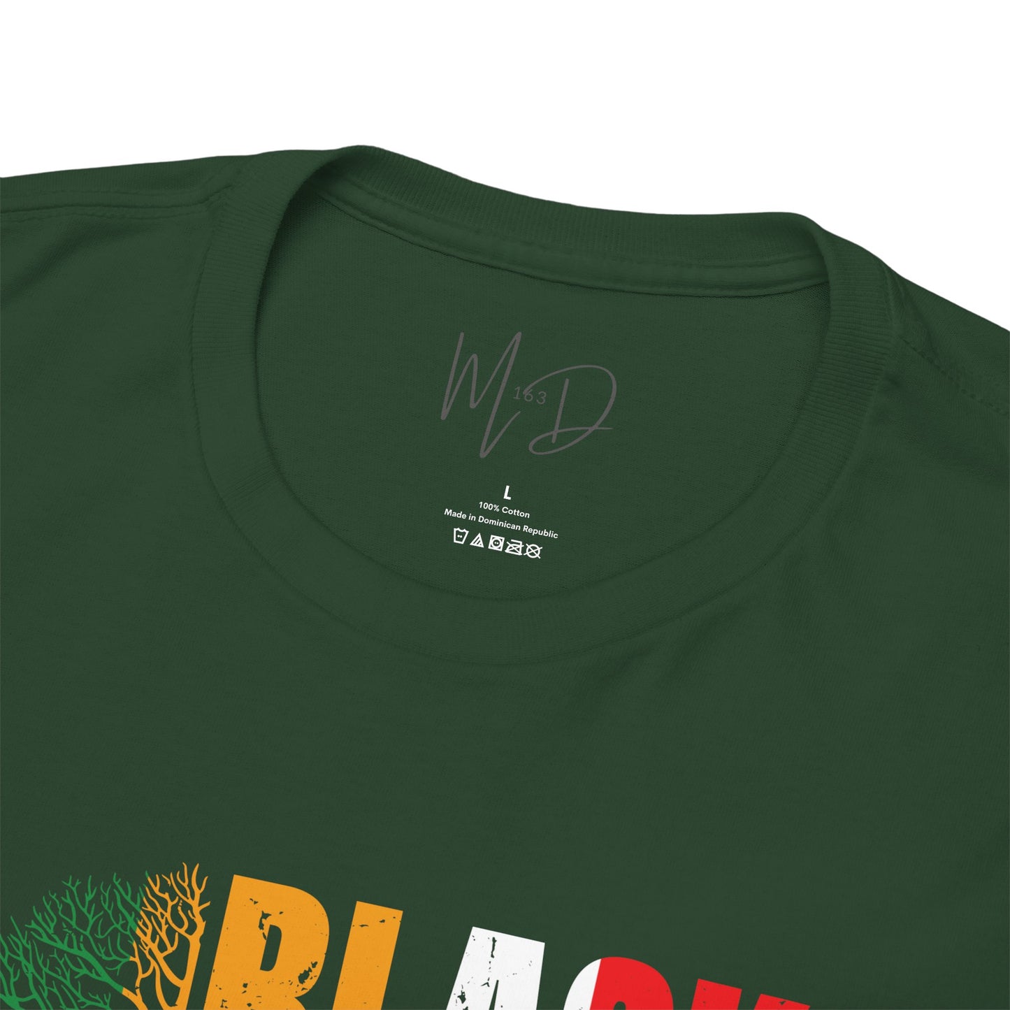 Black History Month | T-Shirt (Version 3)