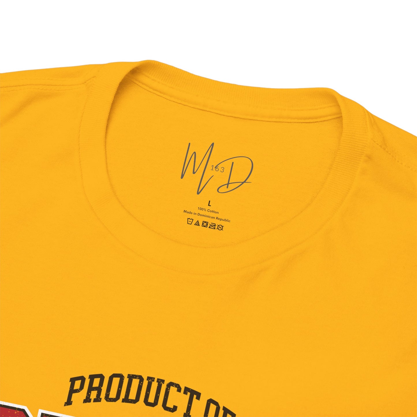 Product of Black History | T-Shirt (Version 5)