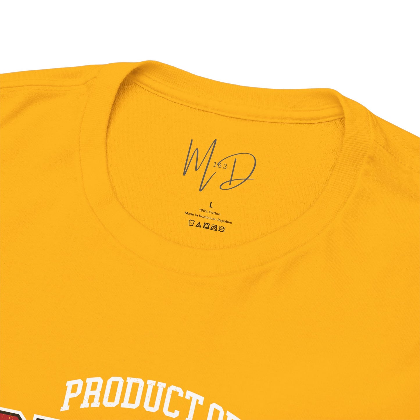 Product of Black History | T-Shirt (Version 4)