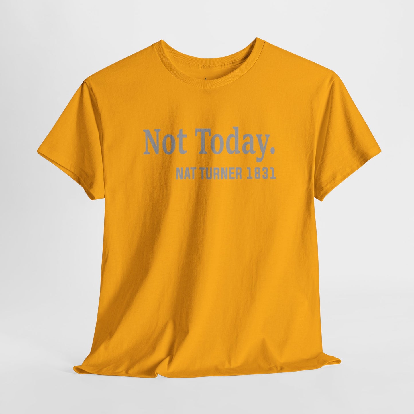 Not Today……Nat Turner | T-Shirt