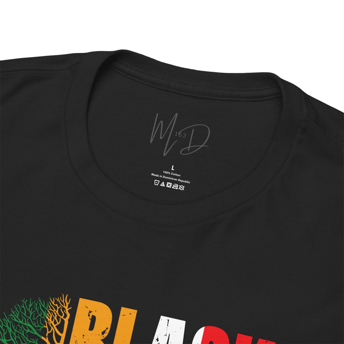 Black History Month | T-Shirt (Version 3)