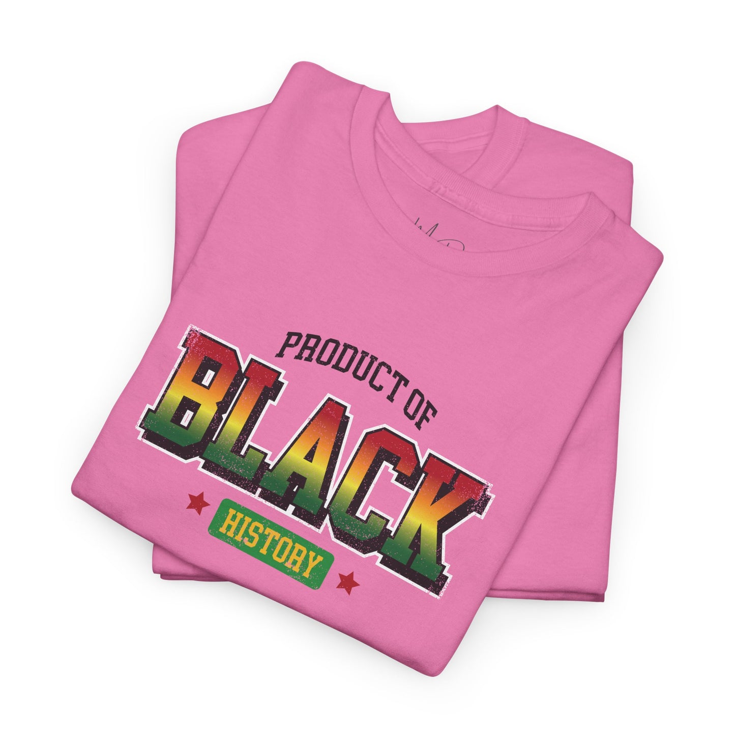 Product of Black History | T-Shirt (Version 5)
