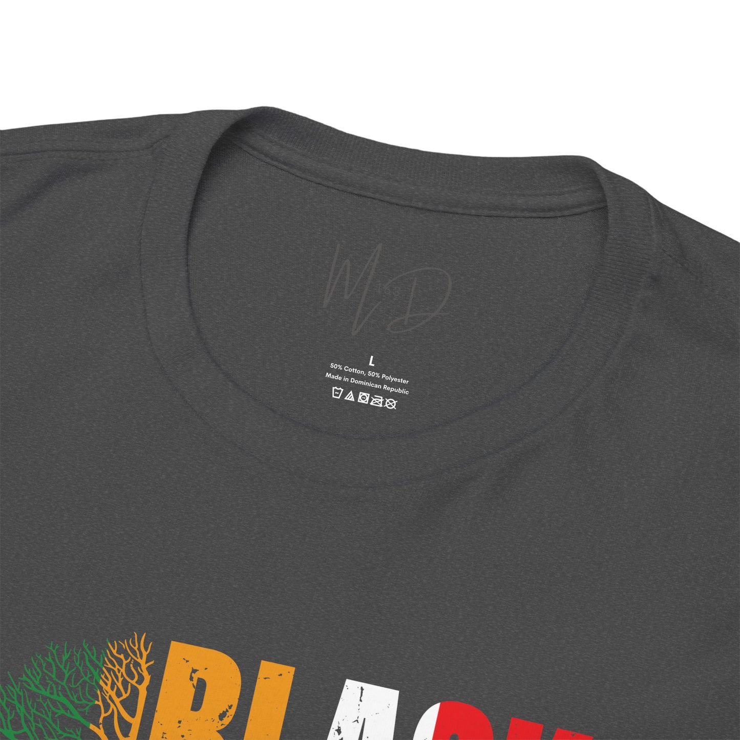 Black History Month | T-Shirt (Version 3)