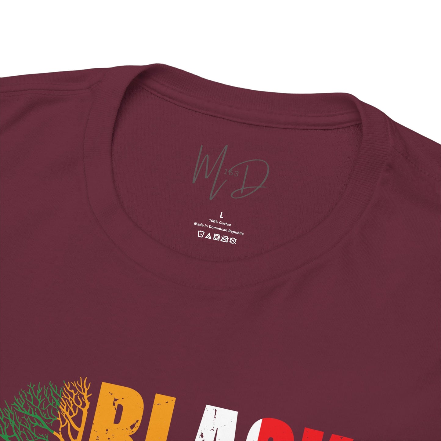 Black History Month | T-Shirt (Version 3)