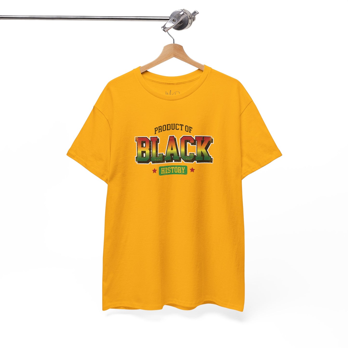 Product of Black History | T-Shirt (Version 5)