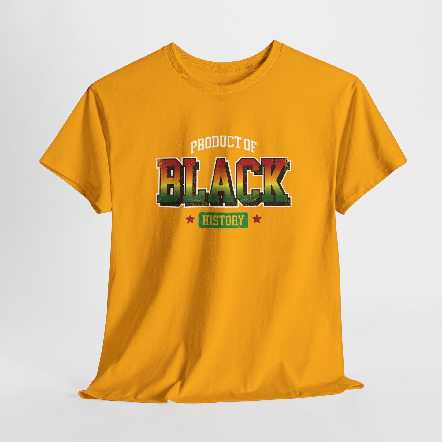 Product of Black History | T-Shirt (Version 4)