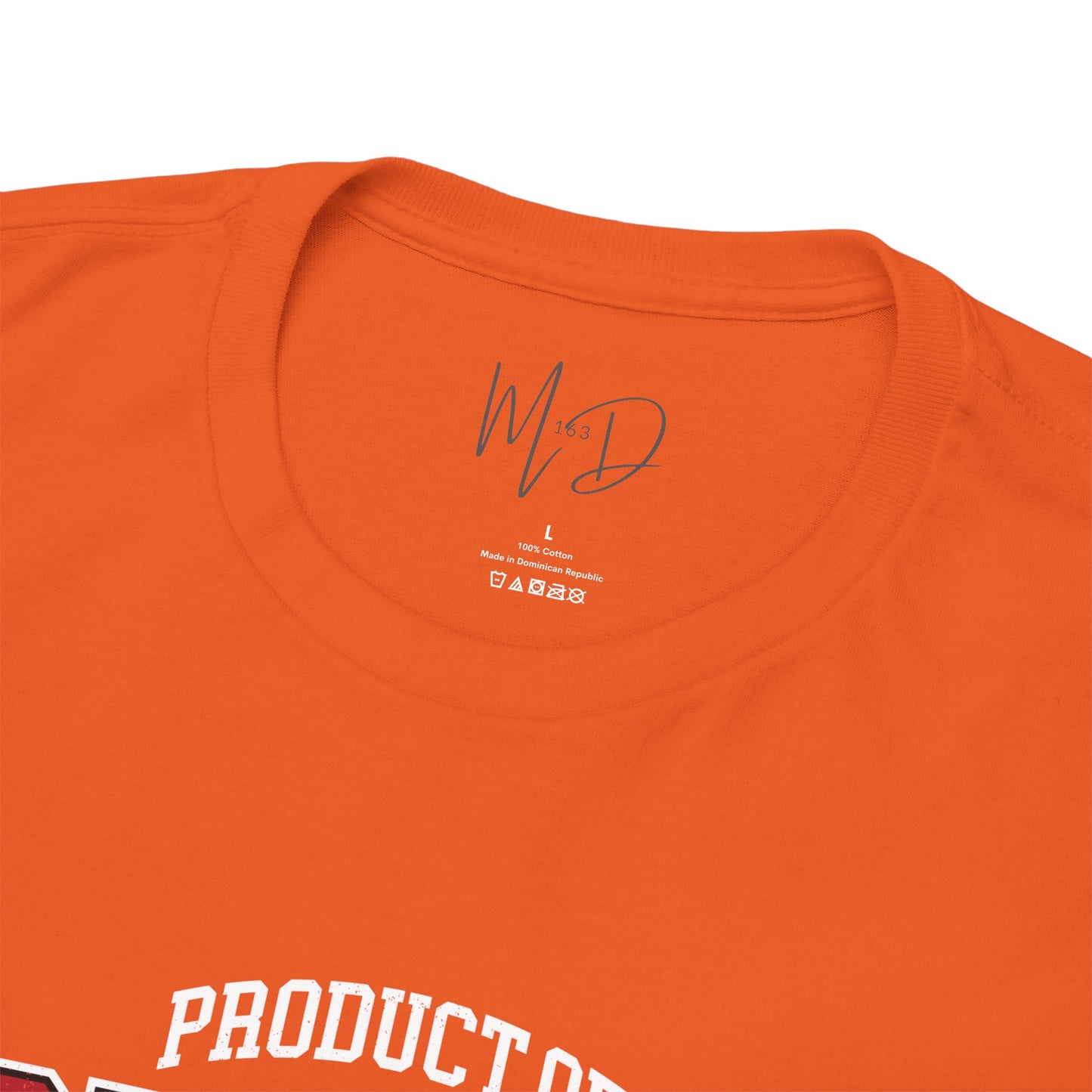 Product of Black History | T-Shirt (Version 4)