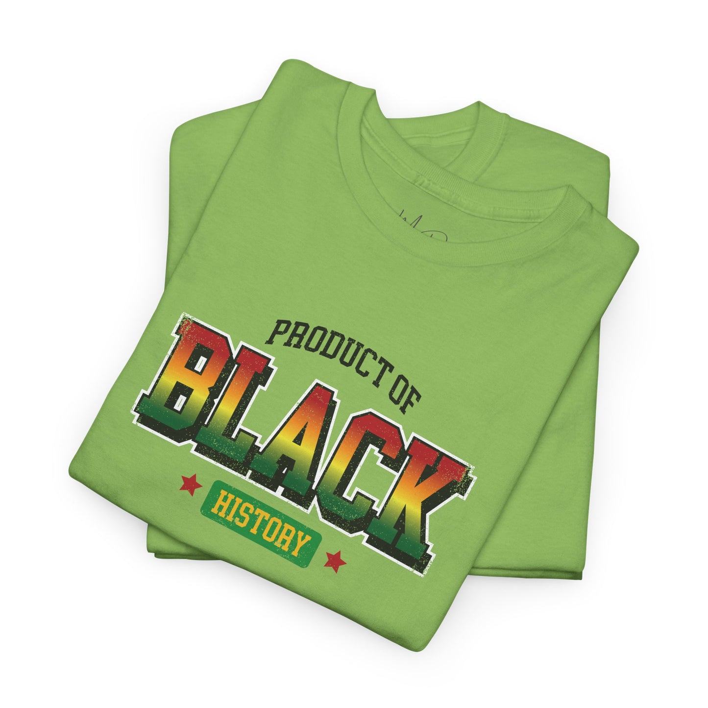 Product of Black History | T-Shirt (Version 5)
