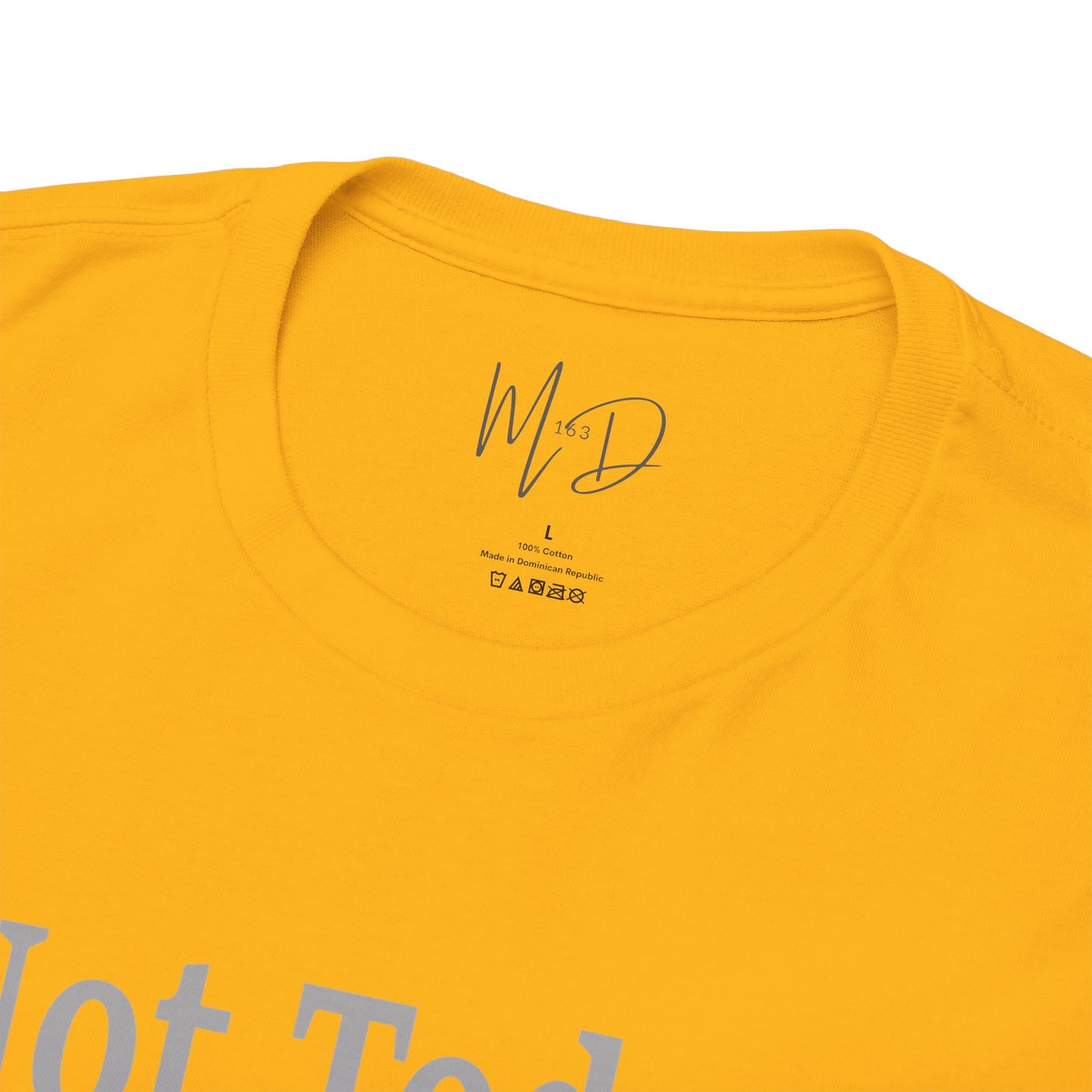 Not Today……Nat Turner | T-Shirt