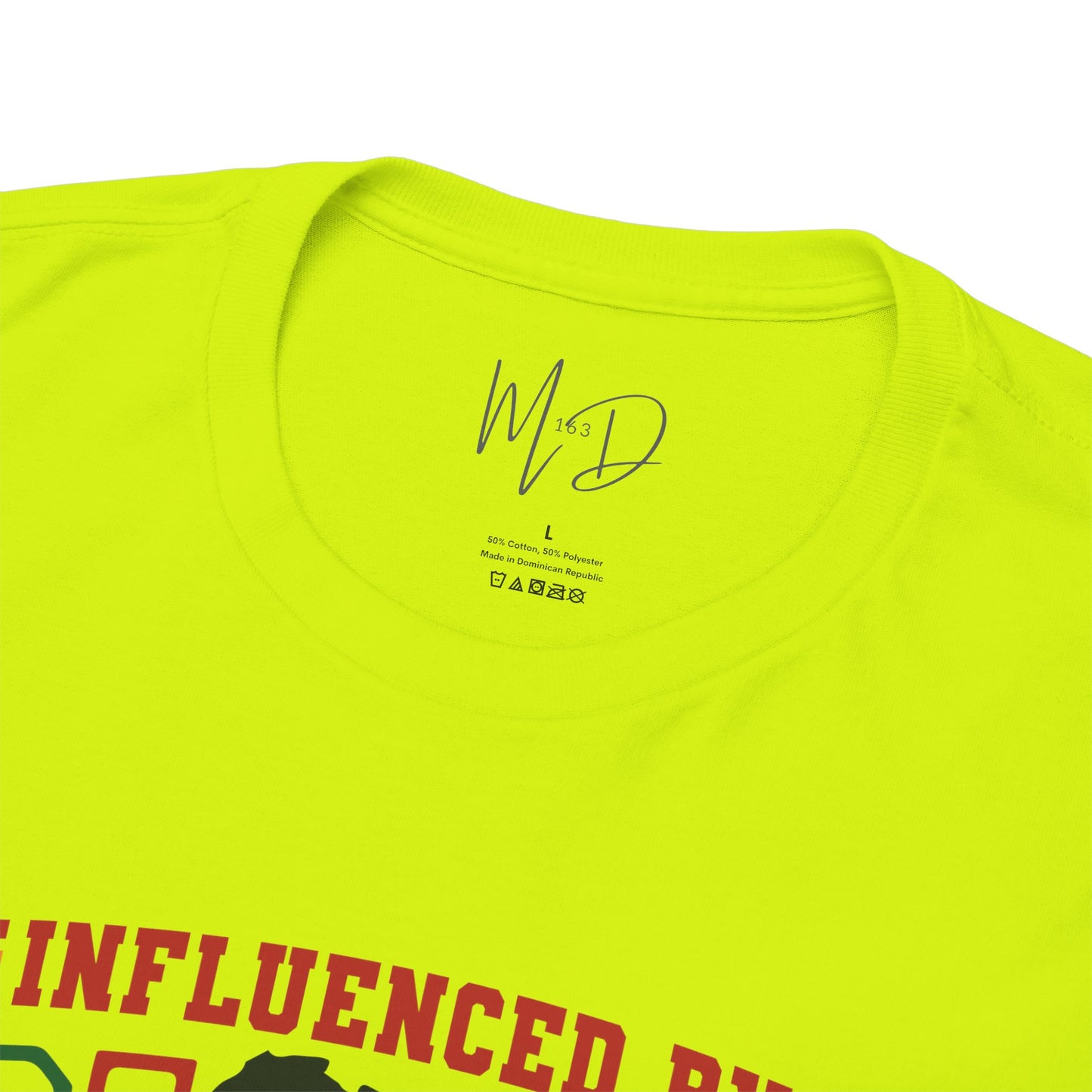Influenced By Black History & Culture | T-Shirt (Version 1)