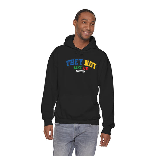 They Not Like Us| Version 1| Multi-Color Font |Hooded Sweatshirt