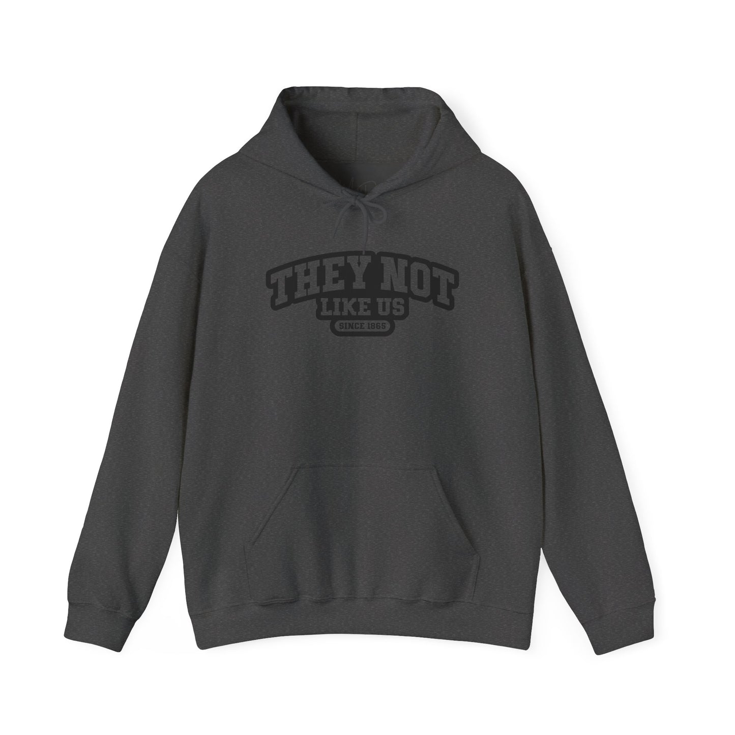 hey Not Like Us| Version 1| Black Font |Hooded Sweatshirt