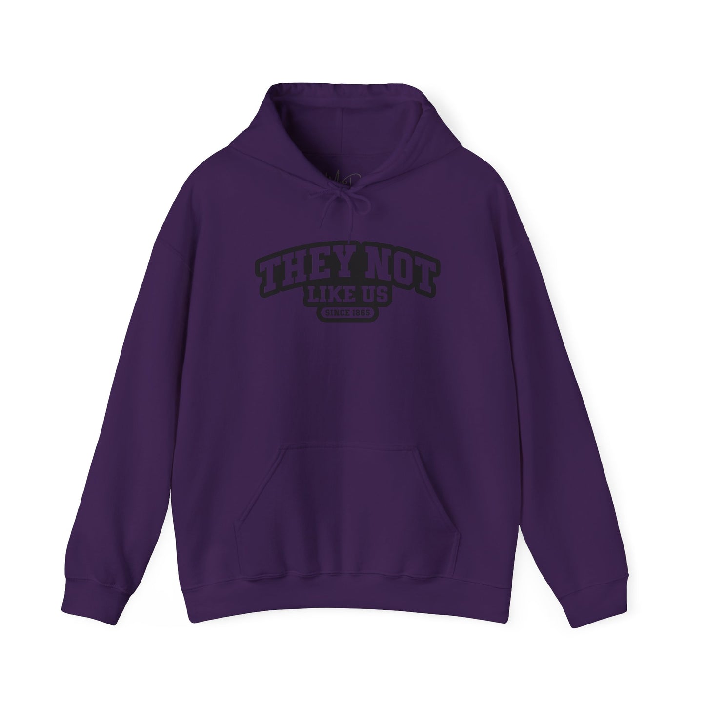 hey Not Like Us| Version 1| Black Font |Hooded Sweatshirt
