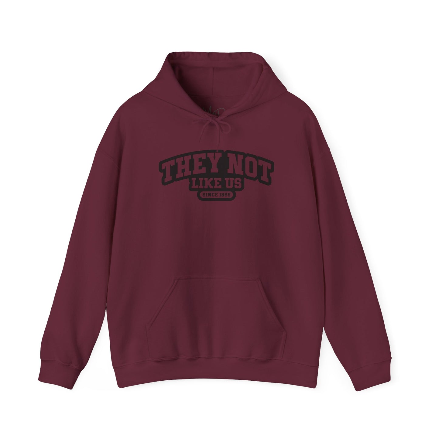 hey Not Like Us| Version 1| Black Font |Hooded Sweatshirt