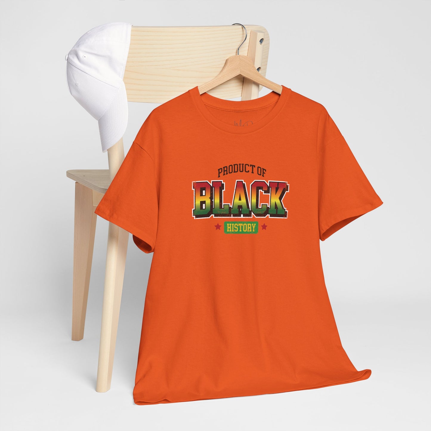 Product of Black History | T-Shirt (Version 5)